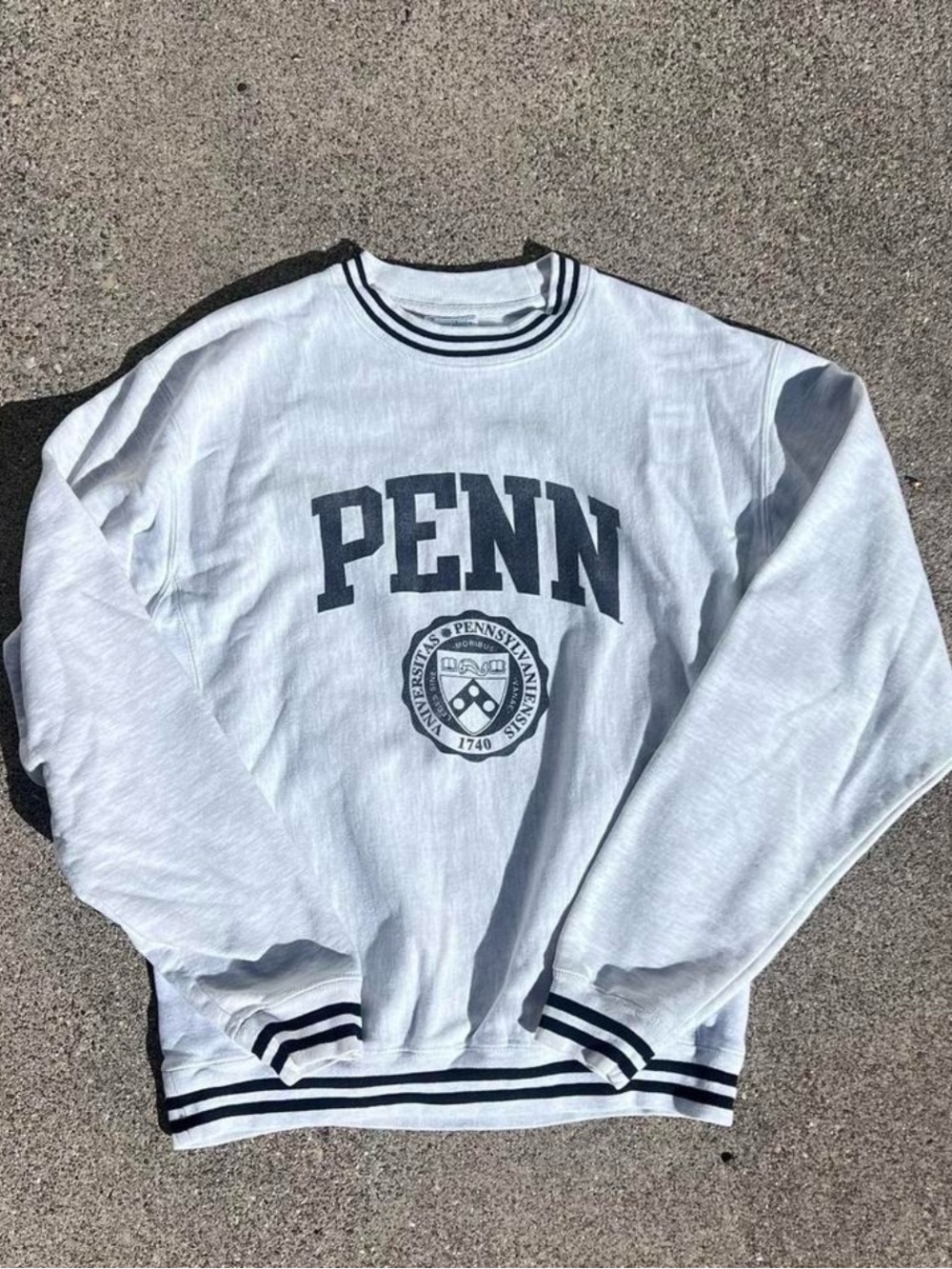 Champion Crewneck Sweater with Navy Penn Logo - Picture 1 of 3